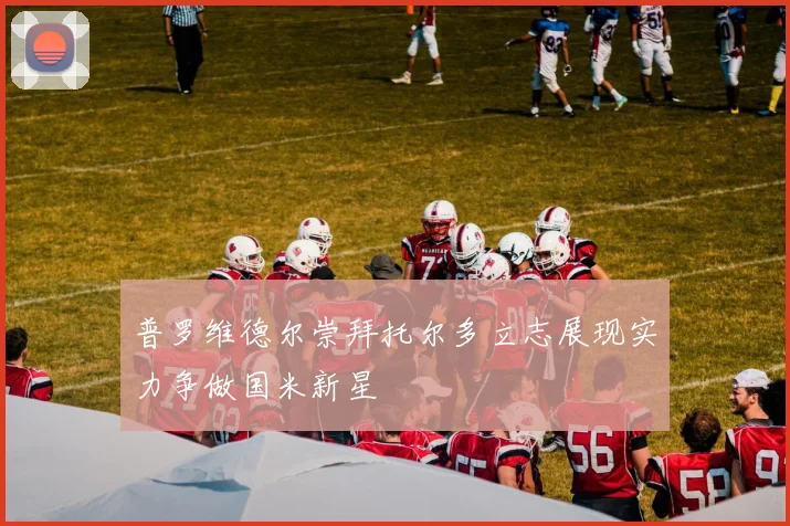 普罗维德尔崇拜托尔多立志展现实力争做国米新星